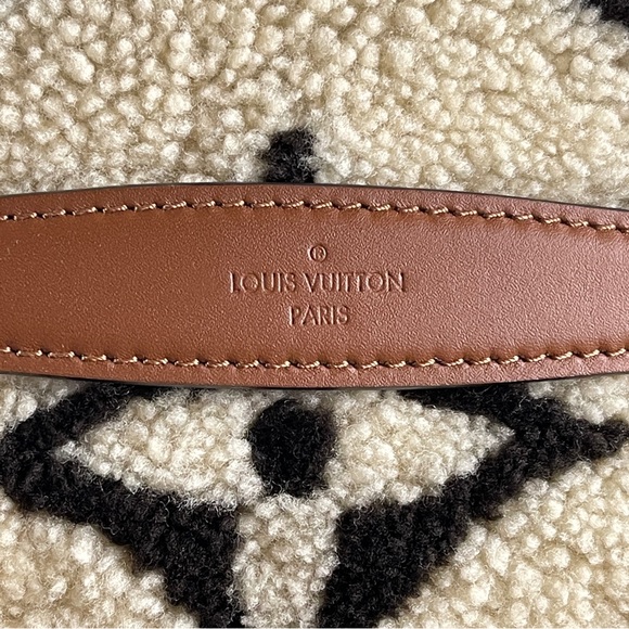 Louis Vuitton Teddy Mono Bumbag - Picture 9 of 14